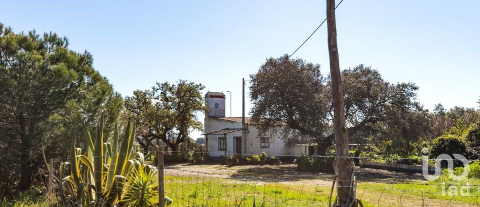 Herdade T0 em Santiago do Escoural de 450 000 m²