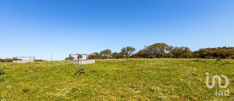 Herdade T0 em Santiago do Escoural de 450 000 m²