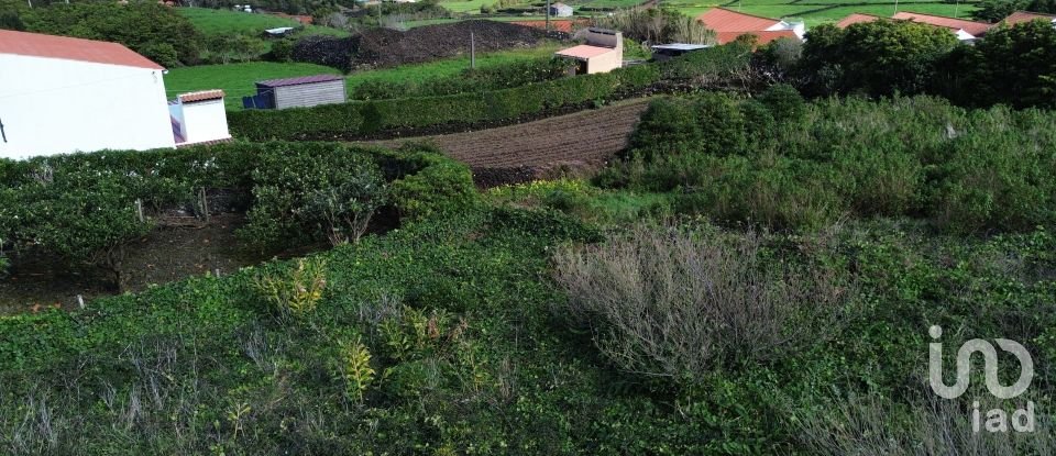 Terrain à Prainha de 1 312 m²