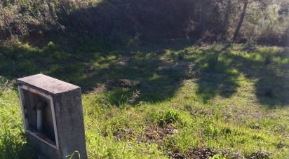 Terrain à Pedrógão Grande de 280 m²