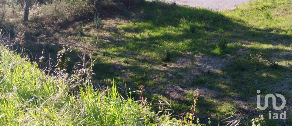 Terrain à Pedrógão Grande de 280 m²