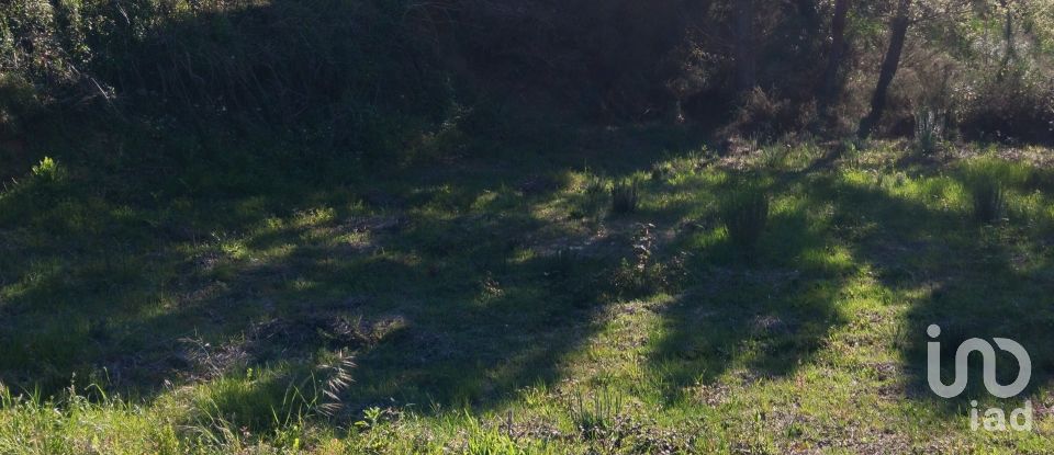 Terrain à Pedrógão Grande de 280 m²