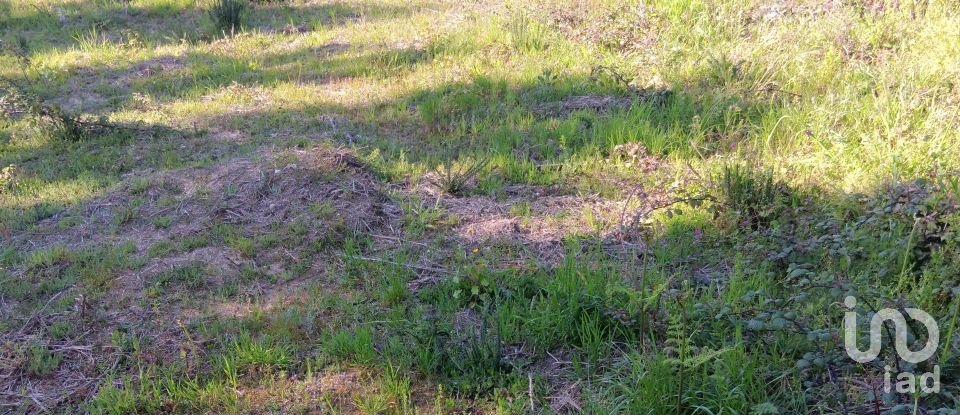 Terrain à Pedrógão Grande de 280 m²