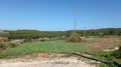 Terrain à bâtir à Lamas e Cercal de 22 480 m²