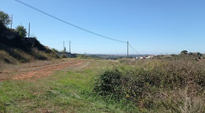 Building plot in Lamas e Cercal of 22,480 m²
