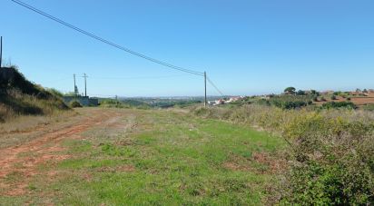 Building plot in Lamas e Cercal of 22,480 m²