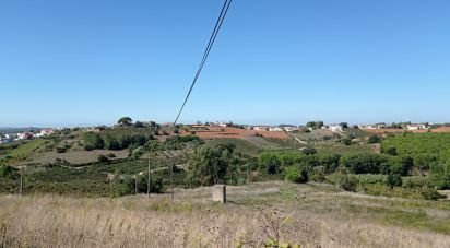Building plot in Lamas e Cercal of 22,480 m²