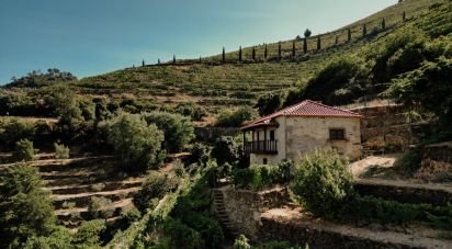 Ferme T1 à Tabuaço de 108 m²