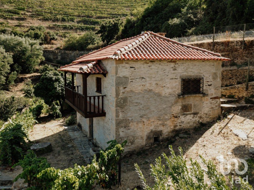 Ferme T1 à Tabuaço de 108 m²