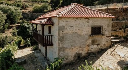 Ferme T1 à Tabuaço de 108 m²