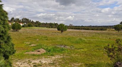 Terrain à bâtir à Branca de 39 000 m²