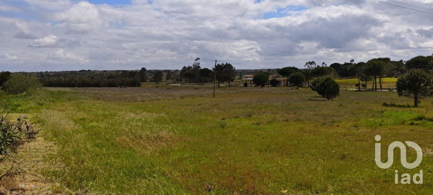 Terrain à bâtir à Branca de 39 000 m²