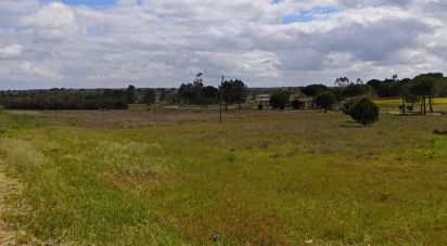 Terrain à bâtir à Branca de 39 000 m²