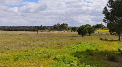 Terrain à bâtir à Branca de 39 000 m²