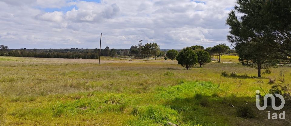 Terrain à bâtir à Branca de 39 000 m²