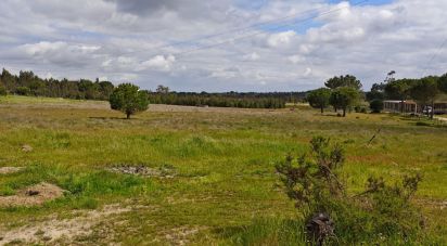 Terrain à bâtir à Branca de 39 000 m²