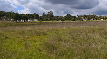 Terrain à bâtir à Branca de 39 000 m²
