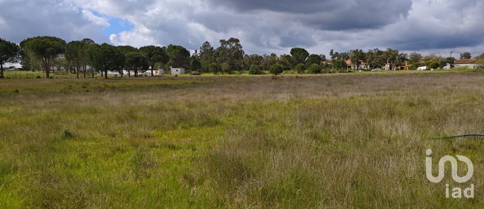 Terrain à bâtir à Branca de 39 000 m²