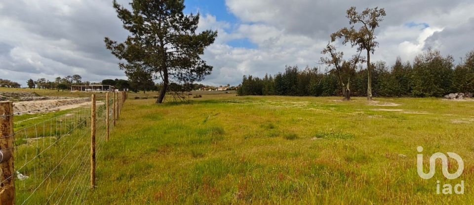 Terrain à bâtir à Branca de 39 000 m²
