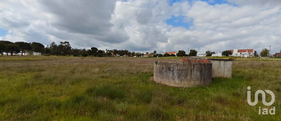 Terrain à bâtir à Branca de 39 000 m²