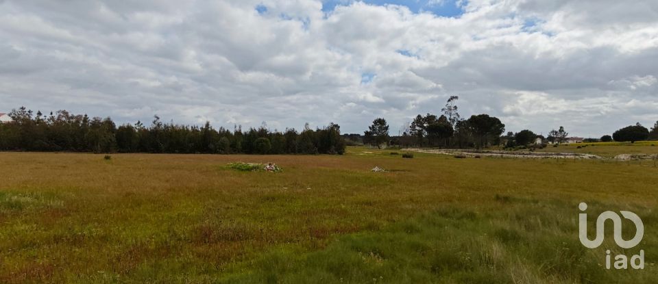 Terrain à bâtir à Branca de 39 000 m²