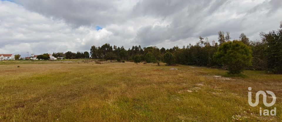 Terrain à bâtir à Branca de 39 000 m²