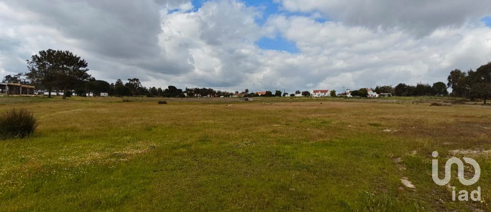 Terrain à bâtir à Branca de 39 000 m²