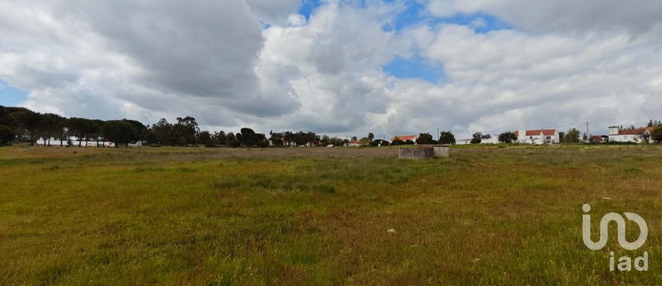 Terrain à bâtir à Branca de 39 000 m²