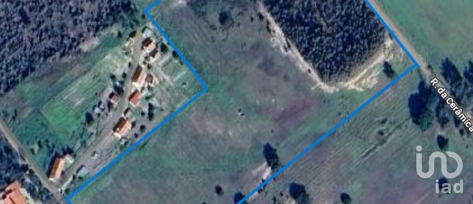 Terrain à bâtir à Branca de 39 000 m²