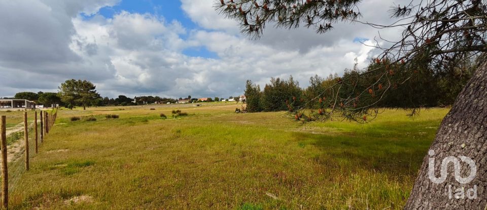 Terrain à bâtir à Branca de 39 000 m²