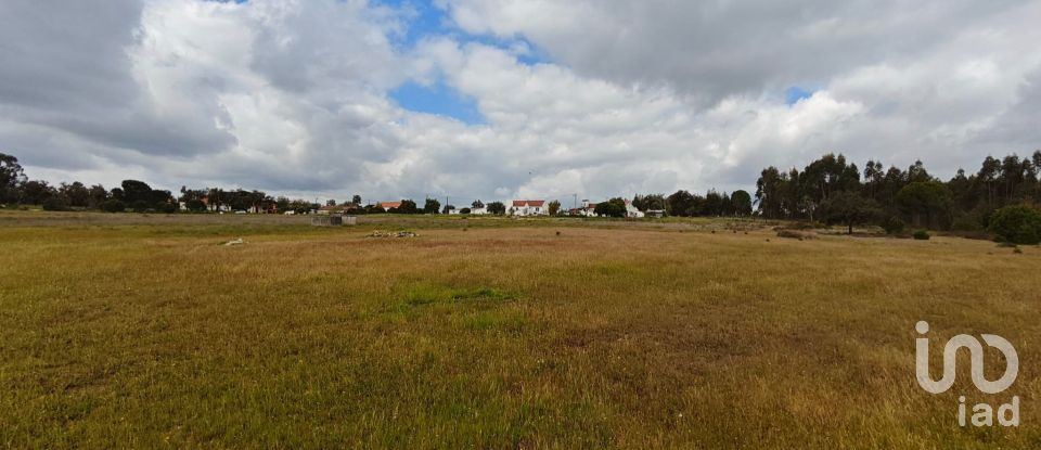 Terrain à bâtir à Branca de 39 000 m²