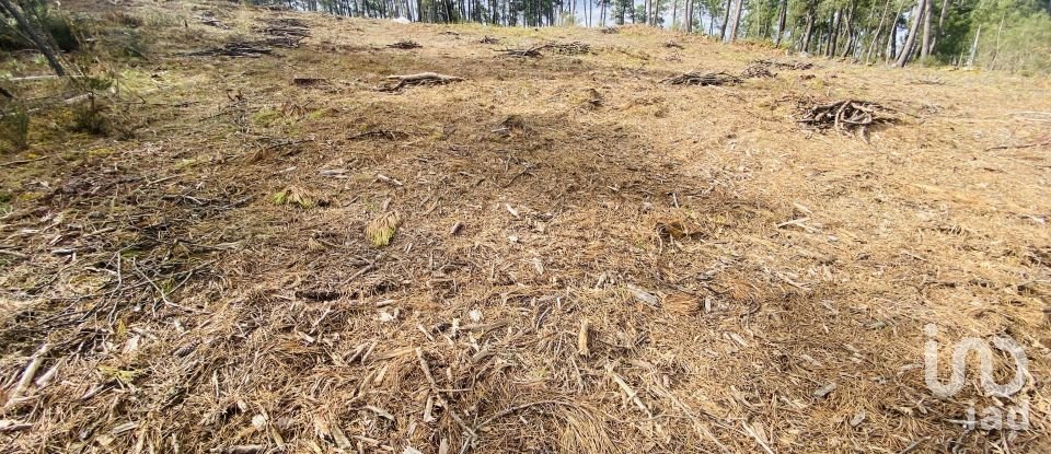 Building plot in Mouçós e Lamares of 3,484 m²