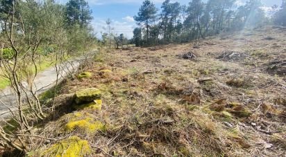 Building plot in Mouçós e Lamares of 3,484 m²