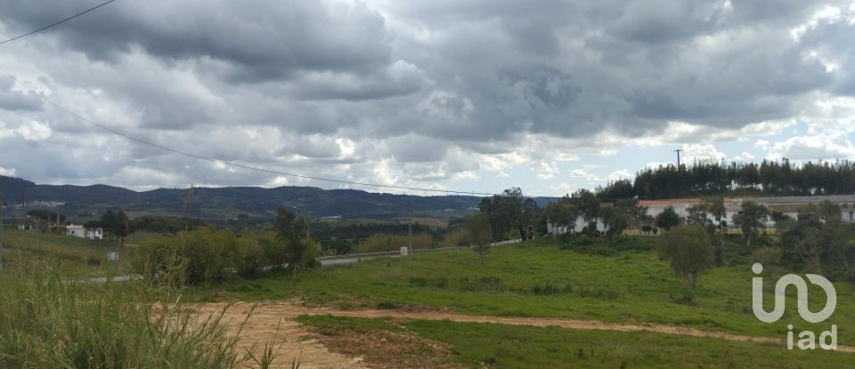 House T3 in Cadaval e Pêro Moniz of 160 m²