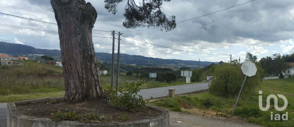 House T3 in Cadaval e Pêro Moniz of 160 m²