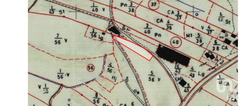 House T3 in Cadaval e Pêro Moniz of 160 m²