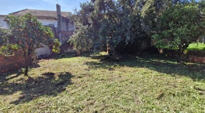 House T8 in Rio Maior of 226 m²