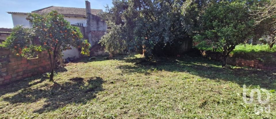 Moradia T8 em Rio Maior de 226 m²