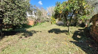 House T8 in Rio Maior of 226 m²