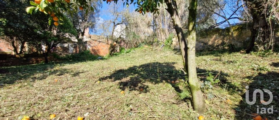 Moradia T8 em Rio Maior de 226 m²