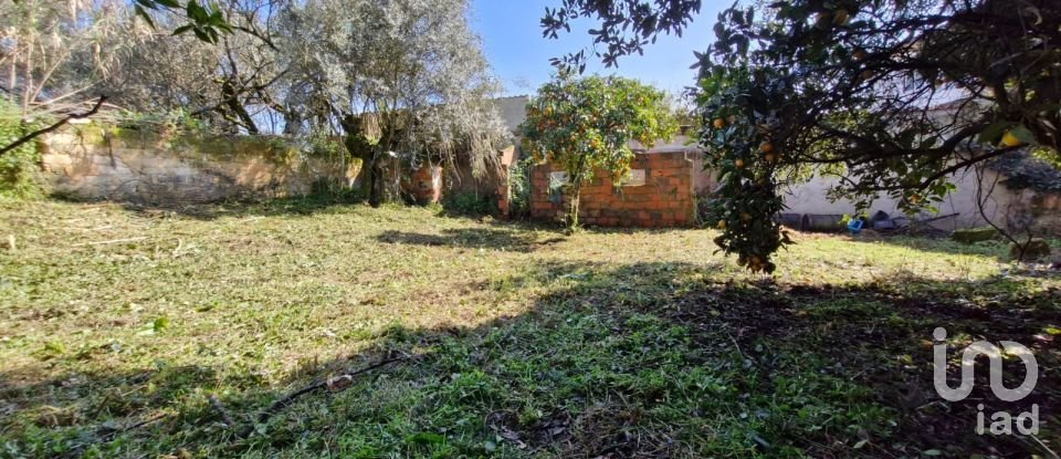 Moradia T8 em Rio Maior de 226 m²