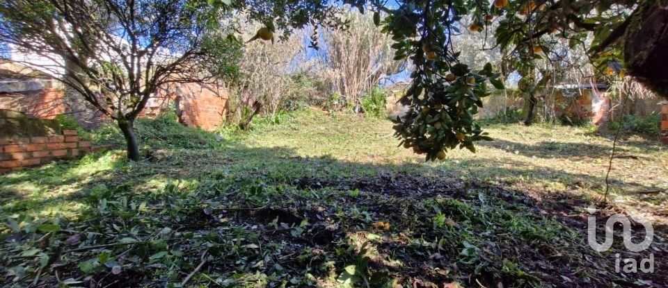 Moradia T8 em Rio Maior de 226 m²