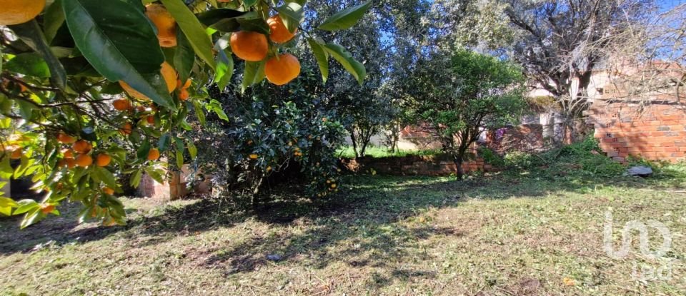 Moradia T8 em Rio Maior de 226 m²