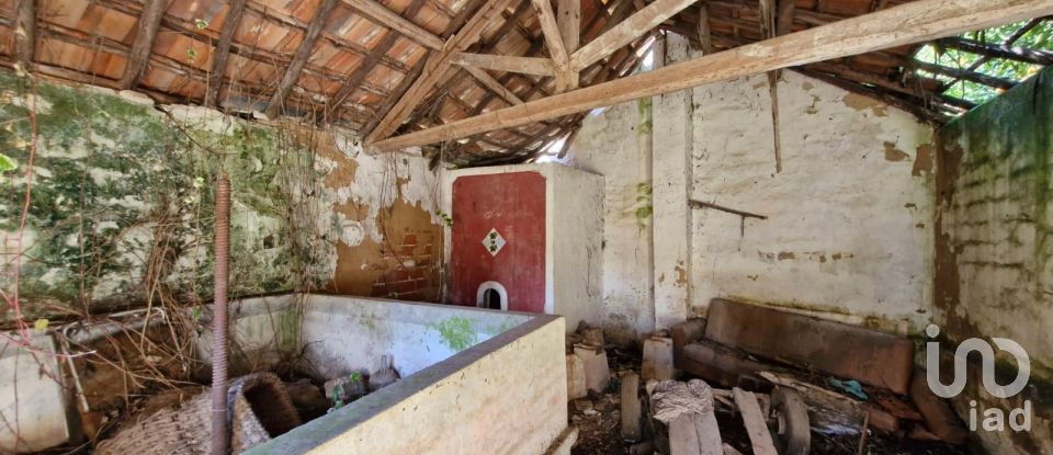 Moradia T8 em Rio Maior de 226 m²