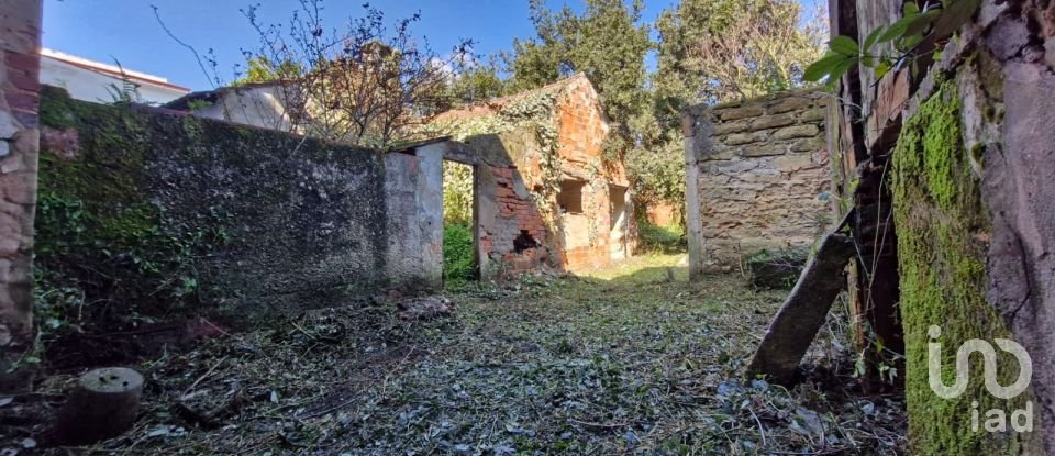 Moradia T8 em Rio Maior de 226 m²