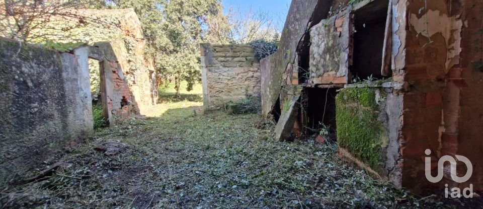 Moradia T8 em Rio Maior de 226 m²