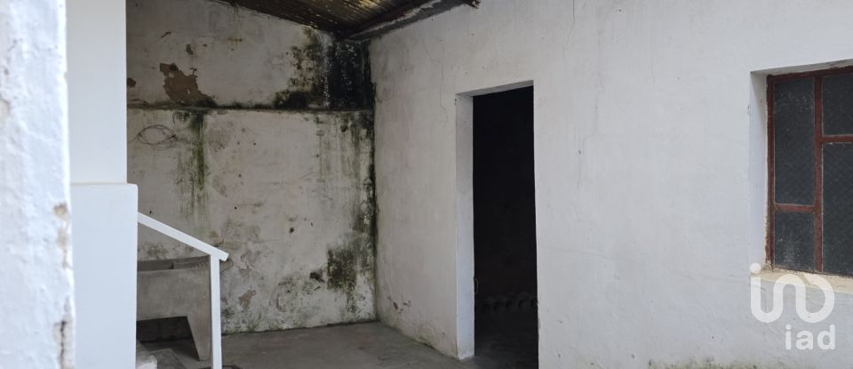 Moradia T8 em Rio Maior de 226 m²