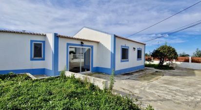 Maison T2 à Santo Isidoro de 123 m²