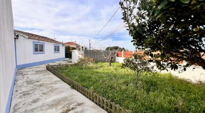 Maison T2 à Santo Isidoro de 123 m²