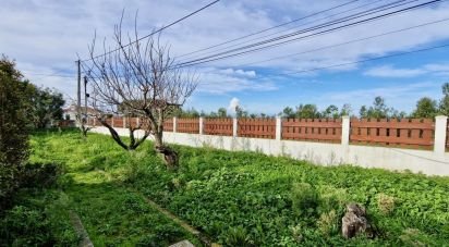 Maison T2 à Santo Isidoro de 123 m²